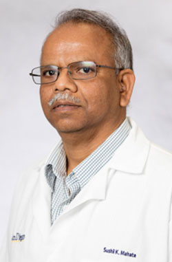 Sushil K. Mahata, Ph.D. - Treasurer