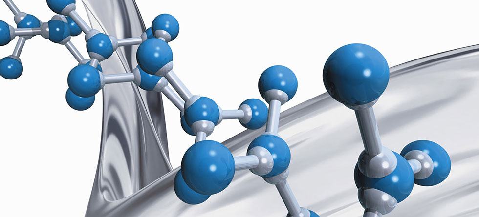 History of The Catecholamine society